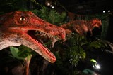 Wystawa dinozaurów w Warszawie. Ponad czterdzieści ogromnych gadów. Takiej atrakcji w Polsce jeszcze nie było