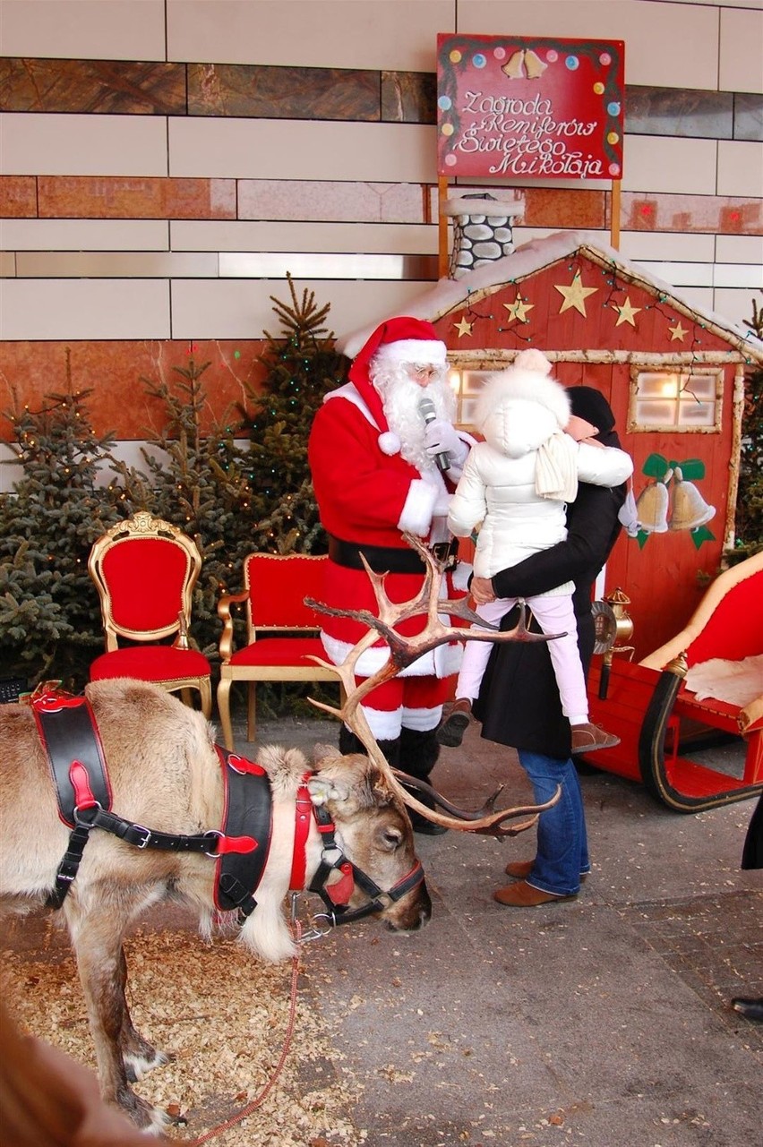 Bożonarodzeniowy Jarmark z atrakcjami w Kielcach. Przyjedzie święty Mikołaj z reniferami 