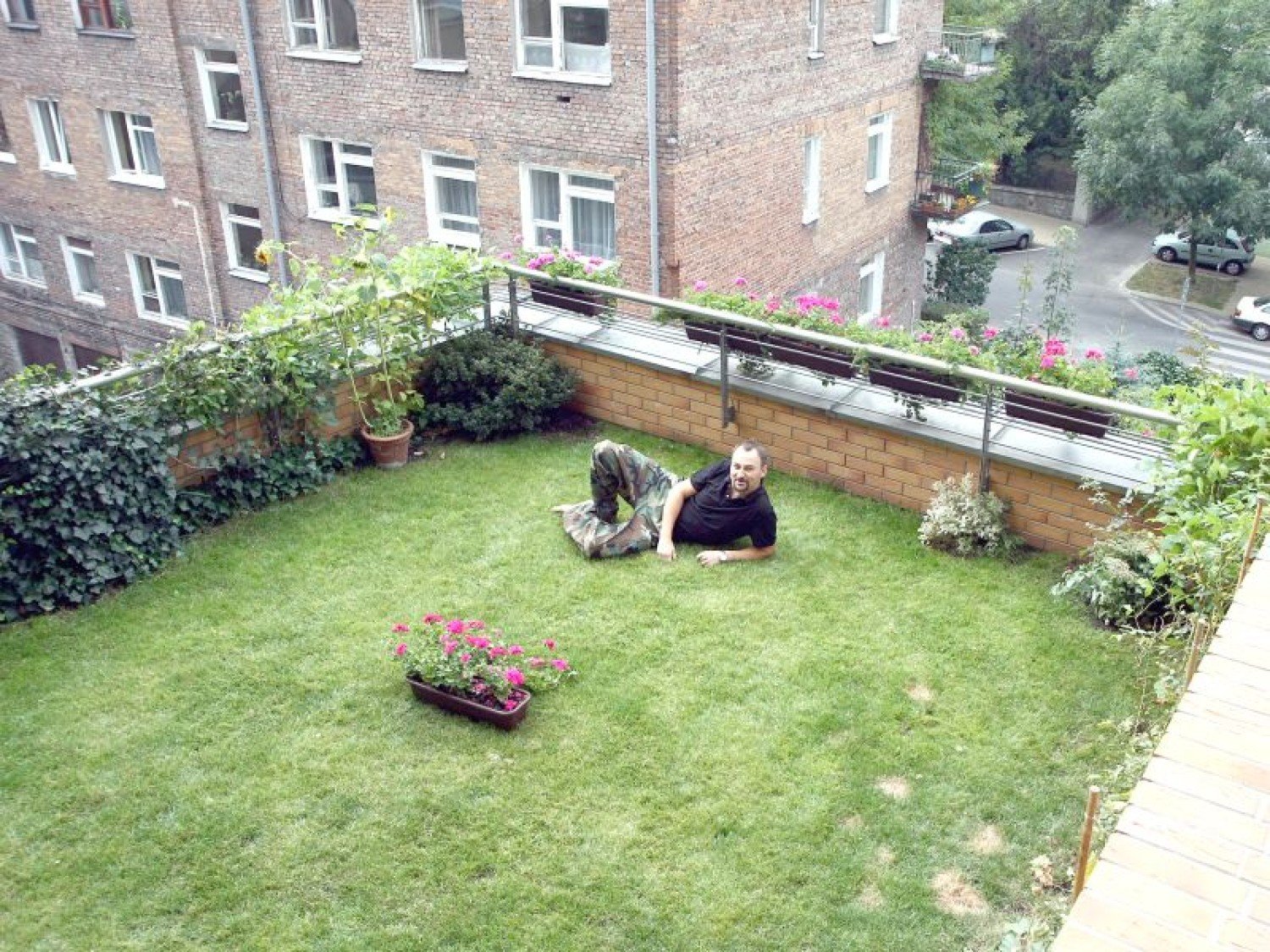 Zielony taras na dachu: Możemy posadzić trawę, kwiaty, małe krzewy lub  drzewka | Lublin Nasze Miasto