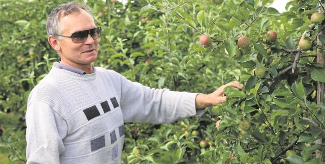 Krzysztof Walczak mówi, że tego, za ile w danym roku będą sprzedawane jabłka, nie da się przewidzieć