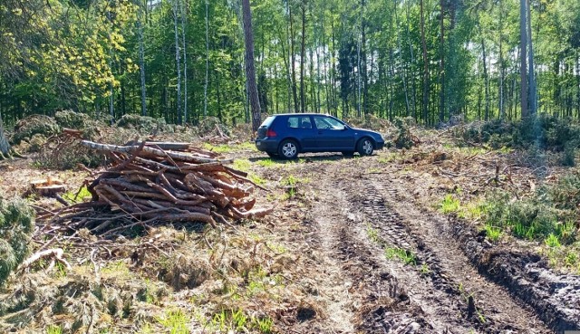 Czy wróci konieczność pozyskiwania w lasach drobnego drewna na opał?