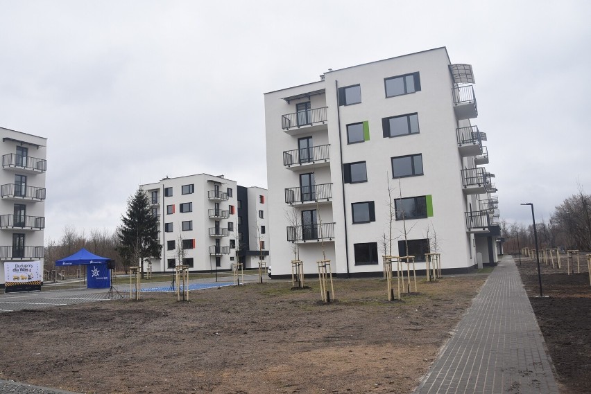 Pierwsi lokatorzy mieszkań komunalnych przy ulicy Traugutta w Sosnowcu otrzymali klucze. W planach rozbudowa osiedla o kolejne osiem bloków