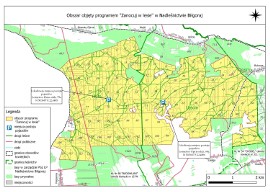 Biwak w lesie. Gdzie w województwie lubelskim można rozbić namiot? Zobacz  mapy | lubelskie Nasze Miasto