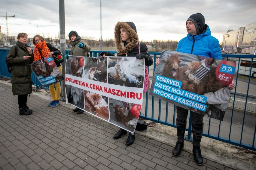 Aktywiści występowali w obronie kóz kaszmirskich, z których...