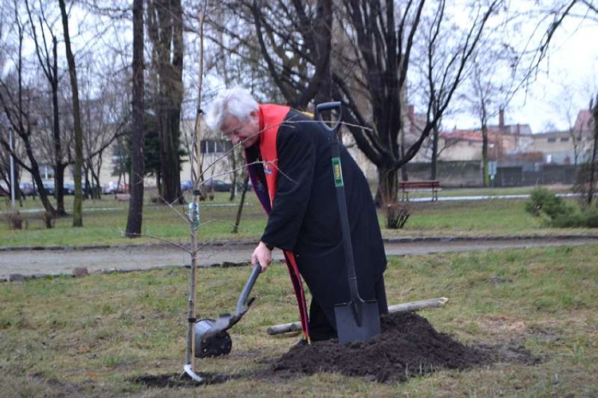 Dąb wolności posadzono i poświęcono w Parku Miejskim