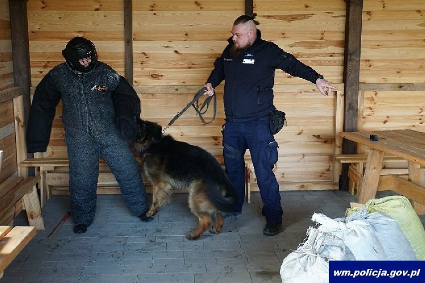 Szkolenie psów służbowych Garnizonu Warmińsko-Mazurskiego