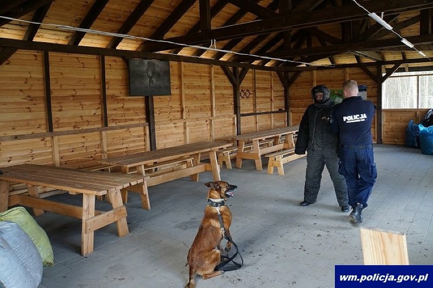Szkolenie psów służbowych Garnizonu Warmińsko-Mazurskiego