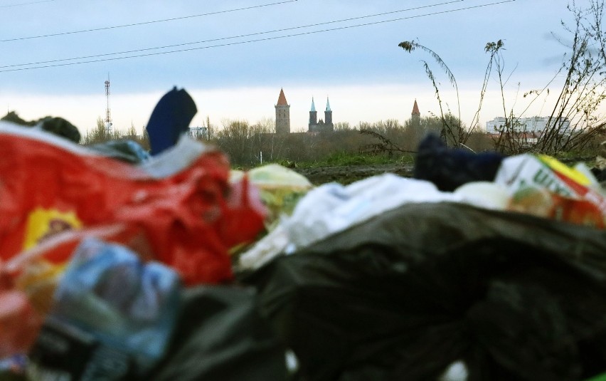 Kolejne dzikie wysypisko śmieci w Legnicy