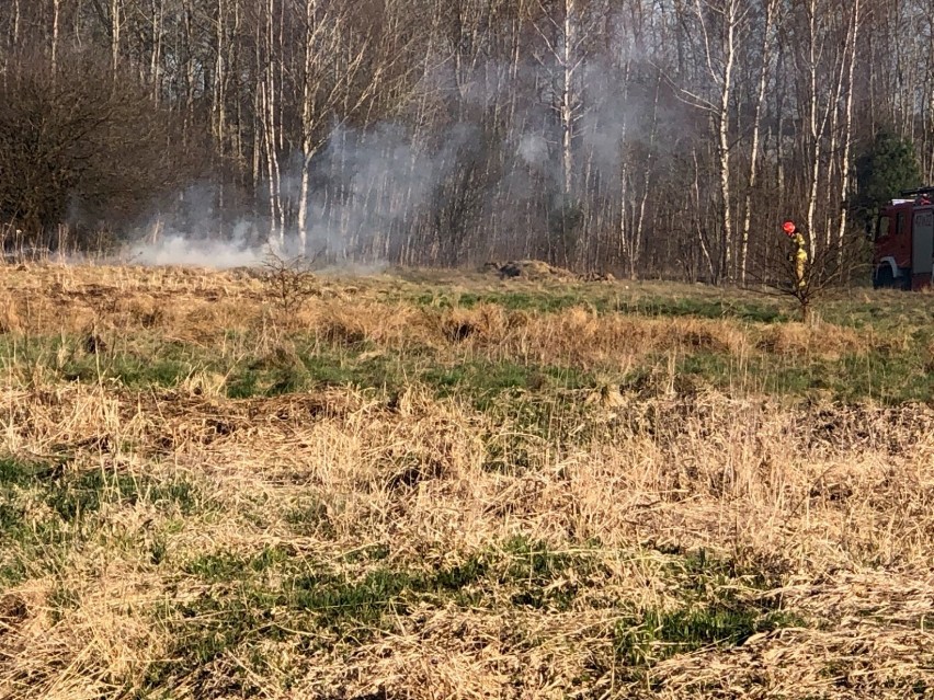 Lębork. Strażacy gasili pożar traw w okolicy lądowiska dla helikoptera medycznego