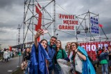 Męskie Granie 2023 Gdańsk. Tak bawiła się publiczność! Znajdźcie się na zdjęciach 