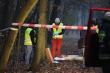 Ataki na kobiety w Katowicach? Policja potwierdza jeden