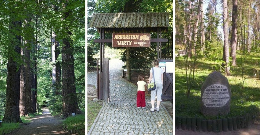 Ogrody botaniczne w północnej Polsce. Oto miejsca idealne na...