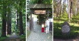 Ogrody botaniczne, które warto odwiedzić w północnej Polsce