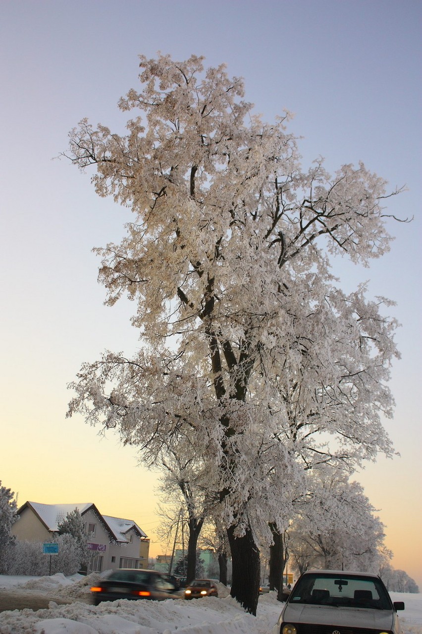 ul. Skarszewska 14.01.2010