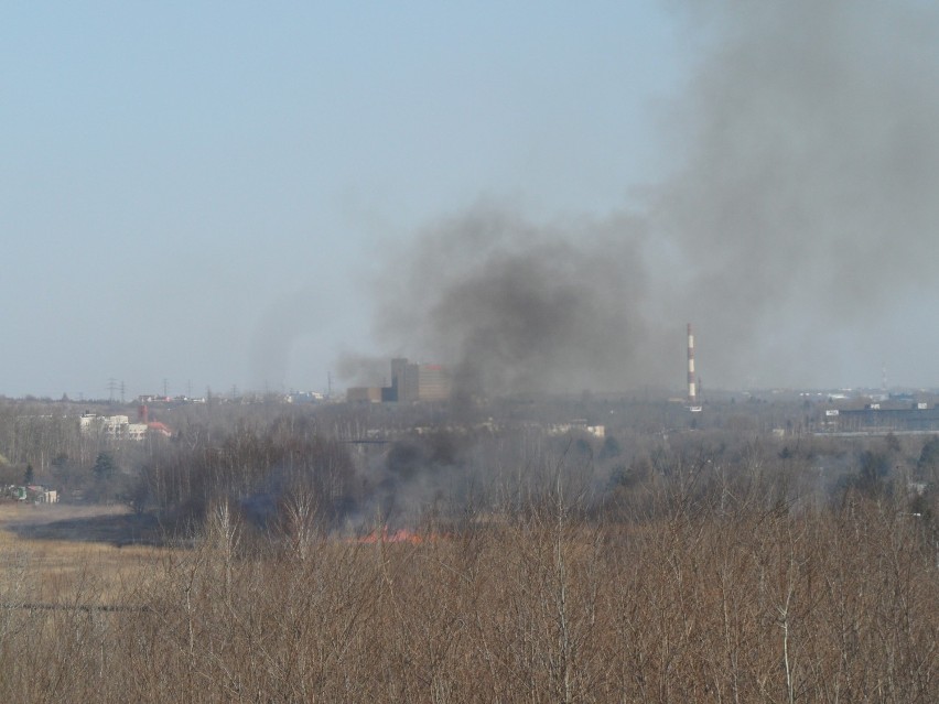 Pożar trawy w Sosnowcu. Ogień na łąkach między Milowicami a Piaskami [ZDJĘCIA]