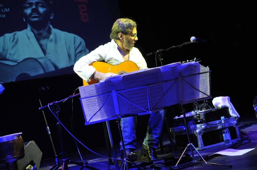 Al Di Meola