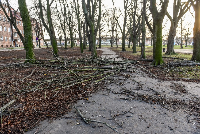 Powalone drzewa i gałęzie znikną wreszcie z Parku na Zdunach