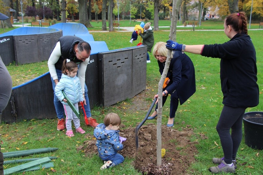 Młodzi żarania posadzili drzewka w parku przy ul. Czerwonego...
