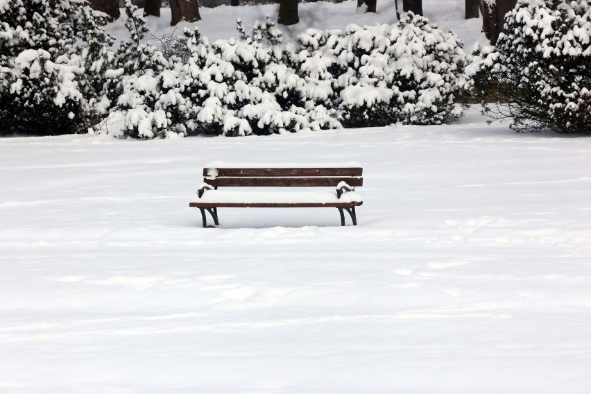 Zima w legnickim Parku Miejskim, zobaczcie go w zimowej scenerii