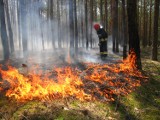 Susza w Łódzkiem: niski stan wód, zakaz podlewania i groźne pożary