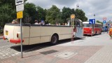 Kaliszanie chętnie jeżdżą zabytkowymi autobusami jelczem i sanem. ZDJĘCIA 