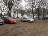 Kierowcy wjechali do parku koło Areny i zaparkowali auta na trawnikach i alejkach [ZDJĘCIA]
