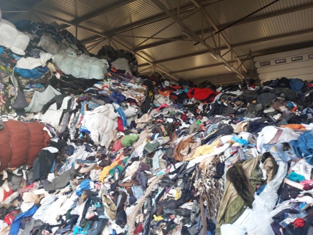W  Złotopolu jest składowisko odpadów, nie tylko złomowanych pojazdów. Mieszkańcy sygnalizują, że pojawiły się gryzonie