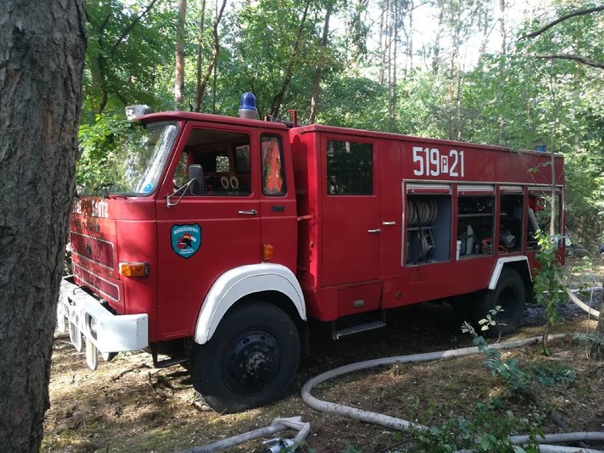 Szybka interwencja strażaków uratowała las przed dużym pożarem