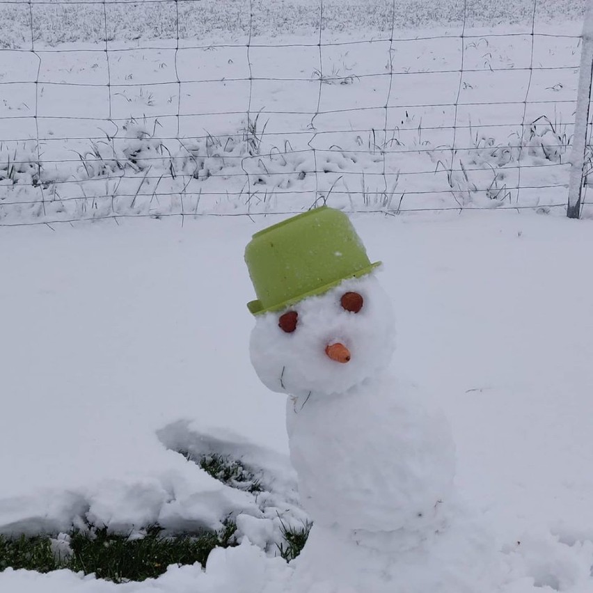 Zima w maju. Na Suwalszczyźnie sypnęło śniegiem [Zdjęcia Czytelników]