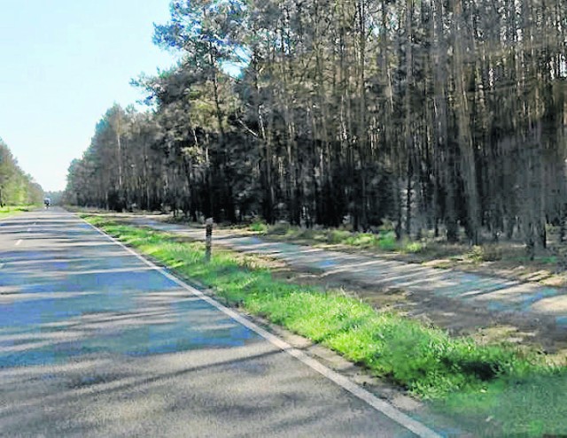 Jedne ścieżki na ukończeniu, inne czekają na swoją kolej