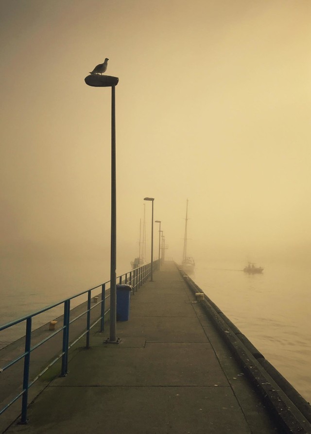 Foto powiat pucki: sobotni poranek we mgle - port w Helu