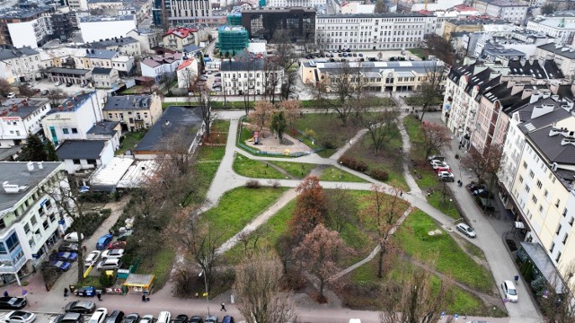 Na skwerze imienia Ireny Sendlerowej w Kielcach przeprowadzono inwentaryzację drzew i ocenę stanu ich zdrowia. Część z nich trzeba będzie wyciąć. To przygotowania do przebudowy placu.