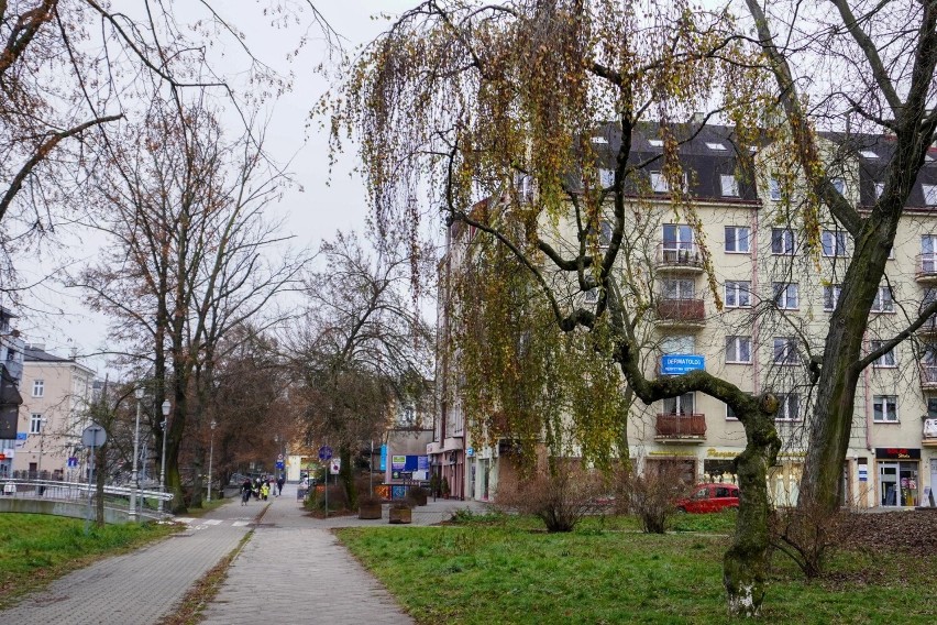 Przygotowania do przebudowy skweru w centrum Kielc. Będzie wycinka drzew. Zobacz zdjęcia