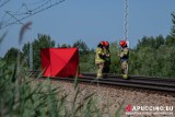 Wypadek na torach między Bochnią a Tarnowem. W Jodłówce pociąg śmiertelnie potrącił mężczyznę. Na miejscu pracują służby