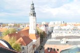 Wyniki wyborów samorządowych 2018 do rady miasta Zielona Góra. Kto znajdzie się w radzie miasta? Kto otrzymał najwięcej głosów? 