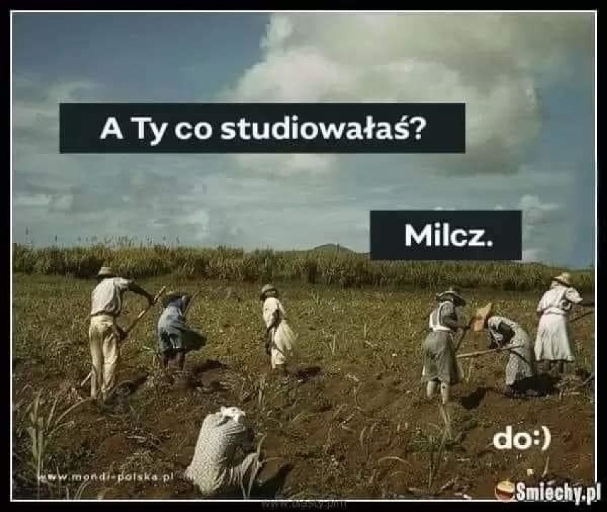 Nauczyciele pójdą w truskawki? Zobacz memy, które podbiły...