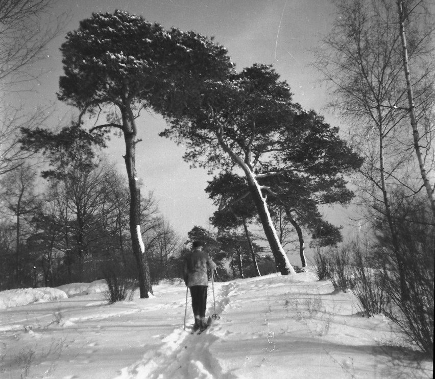 W przeszłości zimowym rajem były górki w Parku Słowiańskim