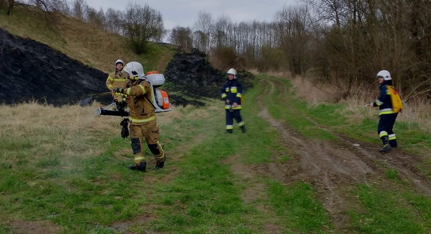 Interwencja strażaków z OSP Alwernia