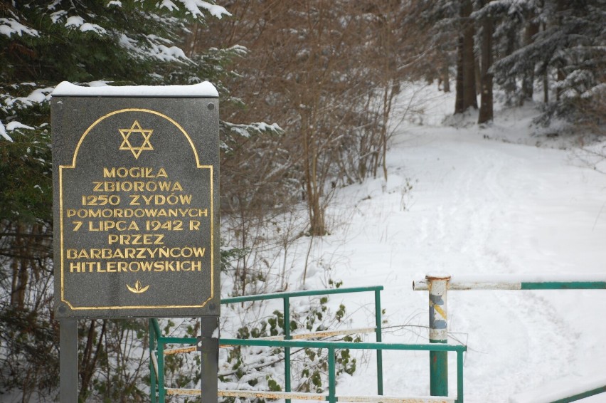 Pamięć o ofiarach Holocaustu w Hałbowie. Niemcy zamordowali tutaj 1250 osób