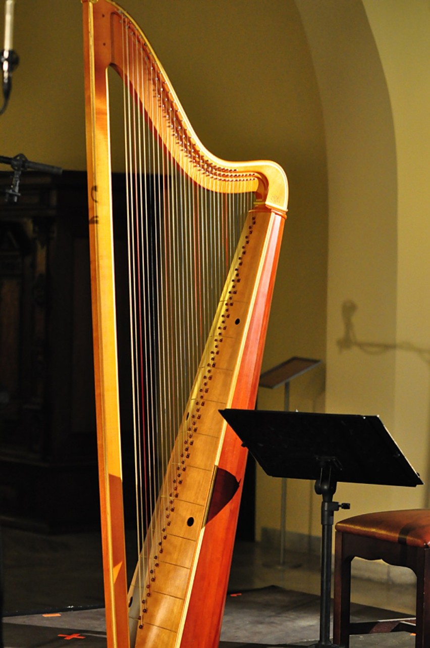 harfa podwójna