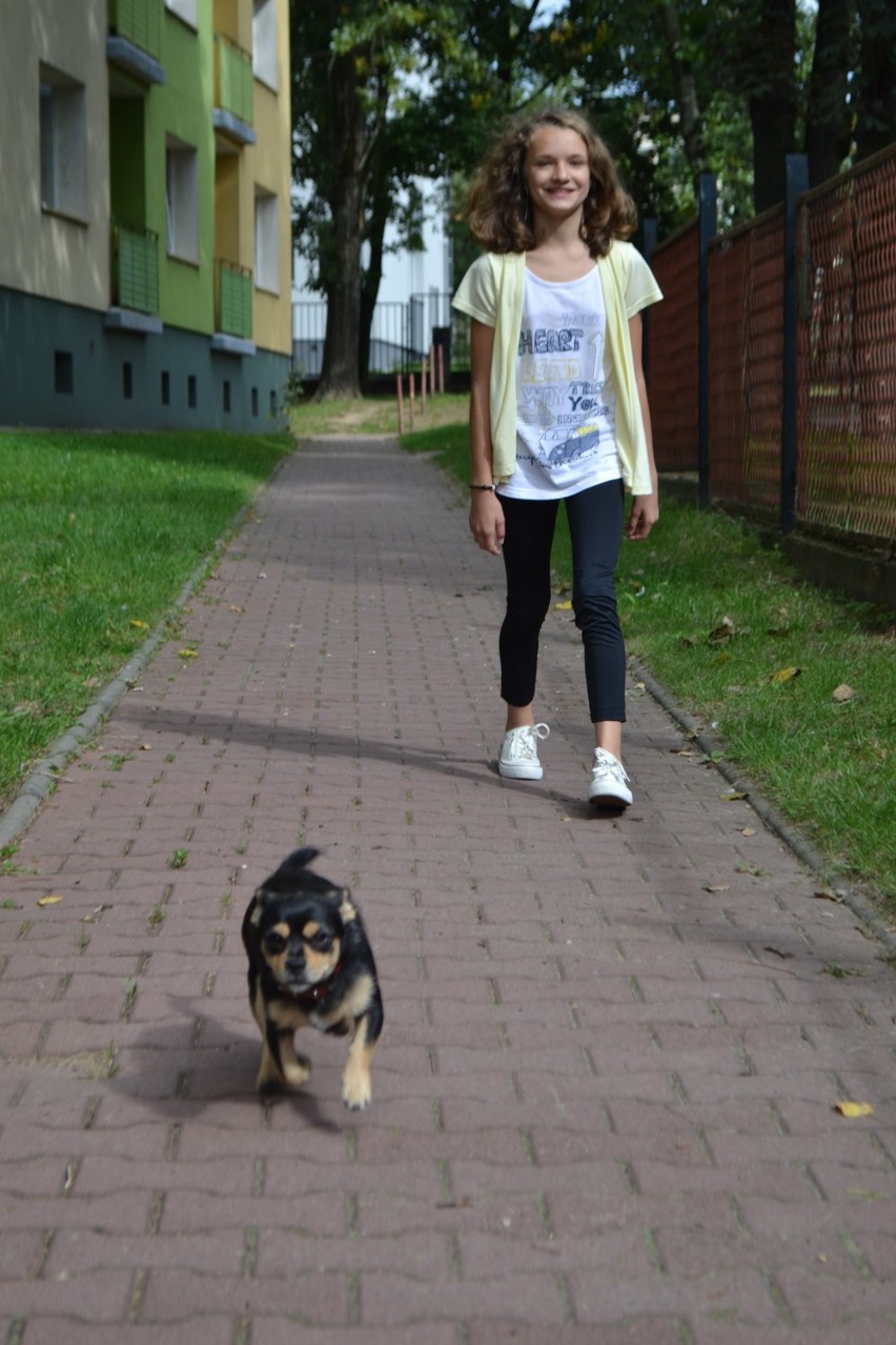 12-latka z Częstochowy chce wyprowadzać psy i oddać...