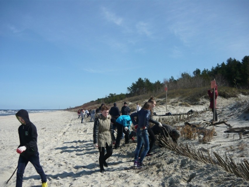 Krynica Morska. Uczniowie umacniali brzeg plaży