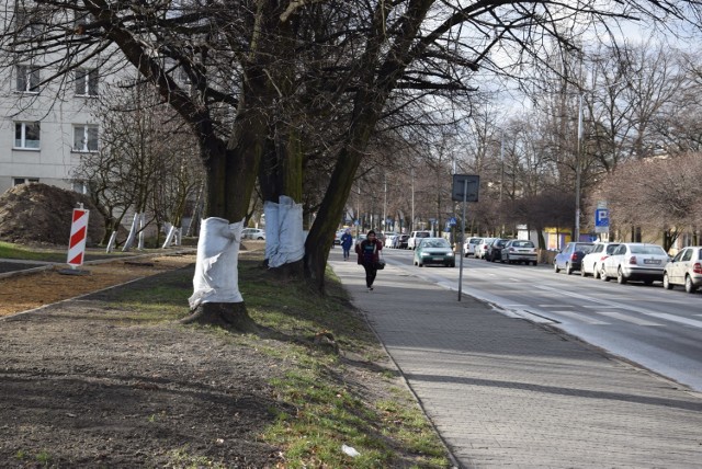 Odcinek ulicy Panewnickiej od Dworca PKP do skrzyżowania z ulicą Piotrowicką