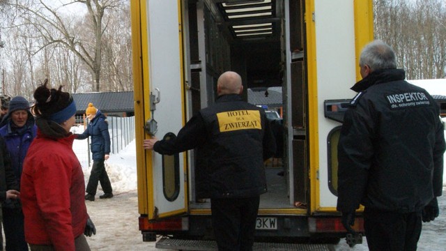 W minionym tygodniu do Zgierza dotarły dwa transporty psów z Wojtyszek.