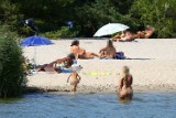 Plaża nudystów nad Zalewem Sulejowskim coraz bardziej popularna. Mieszkańcy Swolszewic mają jednak swoje uwagi [ZDJĘCIA]