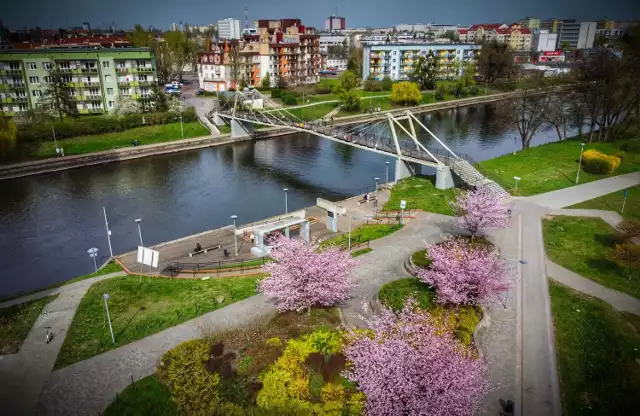 Nad Brdą zrobiło się kolorowo. Zobaczcie zdjęcia pięknej wiosny w Bydgoszcz.