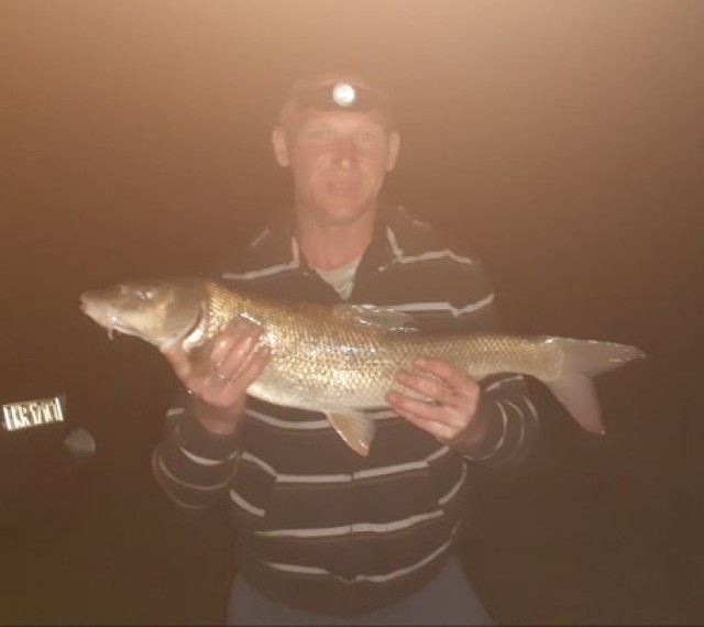 Grzegorz Pęcherski z Krosna Odrzańskiego złowił rekordową rybę - ponad 7-kilową brzanę.