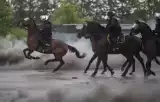 Konie policji i straży miejskiej w Łodzi przeszły testy przydatności [ZDJĘCIA]