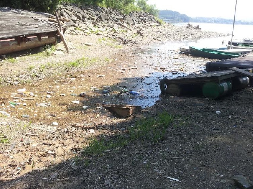 Plastikowe butelki na brzegu Jeziora Żywieckiego