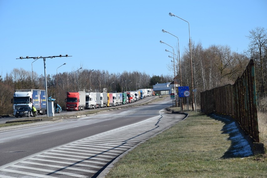 Funkcjonariusze Straży Granicznej ubrani w ochronne...